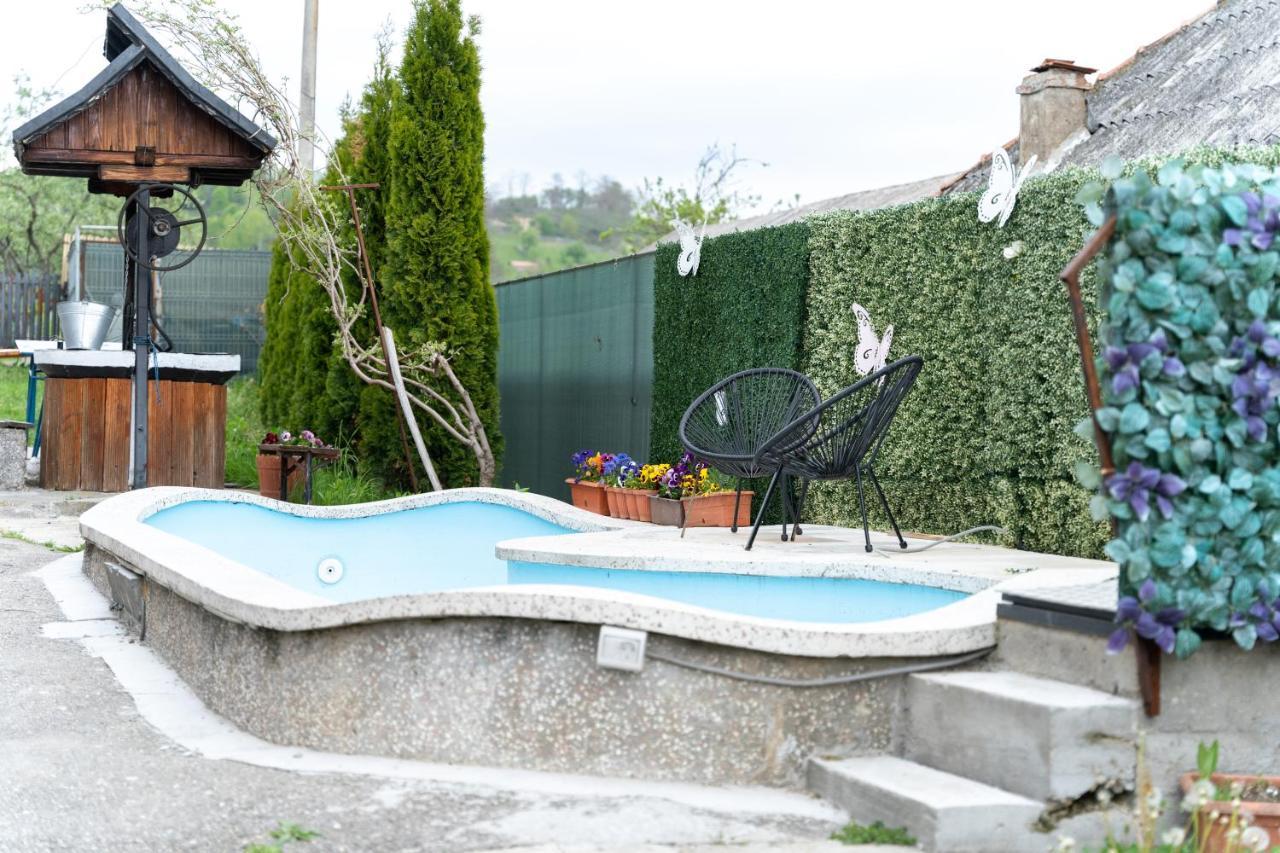 Vila Club Dioda Cicanesti Exterior photo